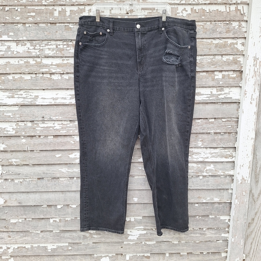 American Eagle Curvy Straight Jeans Size 20
